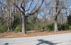 101 Calhoun St., Union, SC 29379
