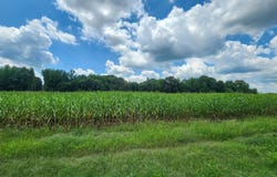 Barr Road, Coldwater, MS 38618