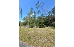 NE Willstone Way, Steinhatchee, FL 32359