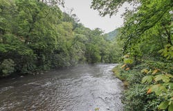 89 Wilderness Drive, Hayesville, NC 28904