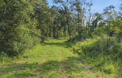 4th St, Mermentau, LA 70556