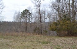Fox Hill Road lot: 4&5, Baxter, TN 38544