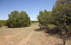 2 Camino Del Sol Road, Bernal, NM 87569