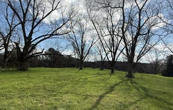 County Road 221, ELBA, AL 36323