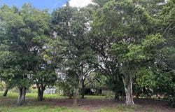 WASHINGTON Avenue, IMMOKALEE, FL 34142