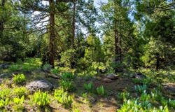 9454 Ridge Road, Alturas, CA 96101