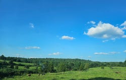 4118 County Road U-659, Birch Tree, MO 65438