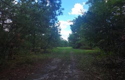 322 Judkins Lane, Cushing, TX 75760