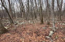 Lipo Way, Albrightsville, PA 18210