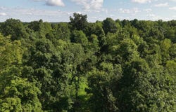 State Route 555, Cutler, OH 45724