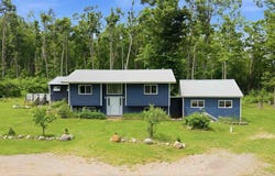 7028 Barney Road, Alanson, MI 49706