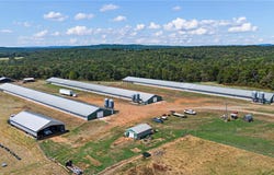 13589 Middle Ridge Road, Ozark, AR 72949