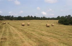 1550 TBD County Road, Compton, AR 72624