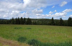 1076 Headrick Rd, Potlatch, ID 83855