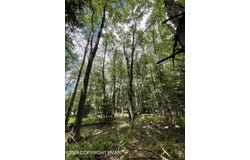 Pine Rd 67, Pocono Pines, PA 18350