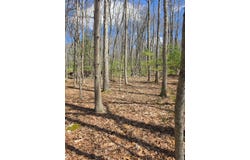 104 Winston Place, Daniels, WV 25832