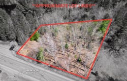 County Road 581, Ishpeming, MI 49849