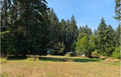 49241 MOUNTAIN VIEW Rd, Oakridge, OR 97463