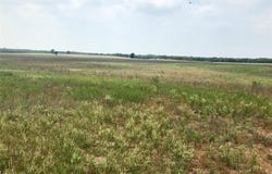 1672 Sayers Tract 2 Rd, Bastrop, TX 78602