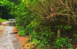 Laurel Lane, Clayton, GA 30525