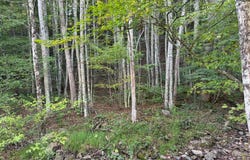 4132 Cornstalk Rd, Crawley, WV 24931