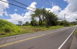 16-1275 MOHO RD, Kurtistown, HI 96760