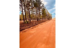 Simmons Road, Mauk, GA 31058