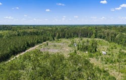 Mule Deer Road, Gilmer, TX 75644