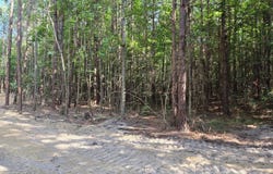 White Drive, Snow Camp, NC 27349