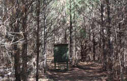 2650 Joe Miley Road, Brunson, SC 29911