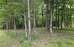 See View Lane lot: 58, Hertford, NC 27944