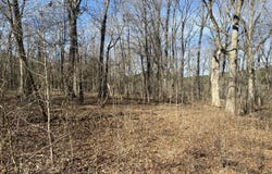 18 Acres Smart Road, Como, MS 38619