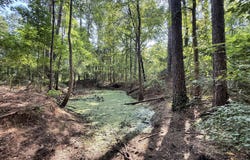 2435 Brignall Road, Brookhaven, MS 39601