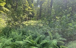 3.3 Bean Road, Plainfield, NH 03781