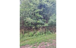 54 Oklahoma Drive, Linn Valley, KS 66040
