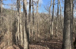 Ottofy Way, Eminence, MO 65466