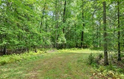 Bayview Drive, Tuftonboro, NH 03816