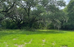 Michel Rd, Belle River, LA 70339
