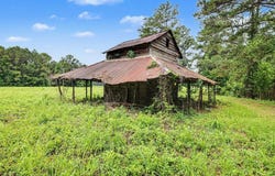 Mitchell Sea Rd., Green Sea, SC 29545
