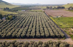Avenue 234, Lindsay, CA 93247
