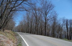 6181 Cass Road, Slatyfork, WV 26291