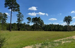 Towering Pines, Carriere, MS 39426
