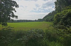 Crispell Road, Clarklake, MI 49234