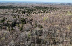 E Pinnacle Road E, Bellmont, NY 12920