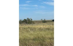 S FM 1258 - Williams, Amarillo, TX 79118