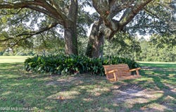 88 W Virgil Lewis Road, Carriere, MS 39426