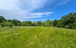 N 4220, No City, OK 74536