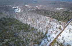 2043 N Peacock Trail, Irons, MI 49644
