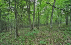 Garden Ln, McGregor, MN 55760