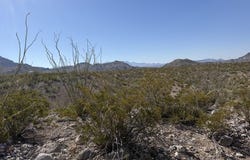 TR 26 Wildcat Dr, Terlingua, TX 79852